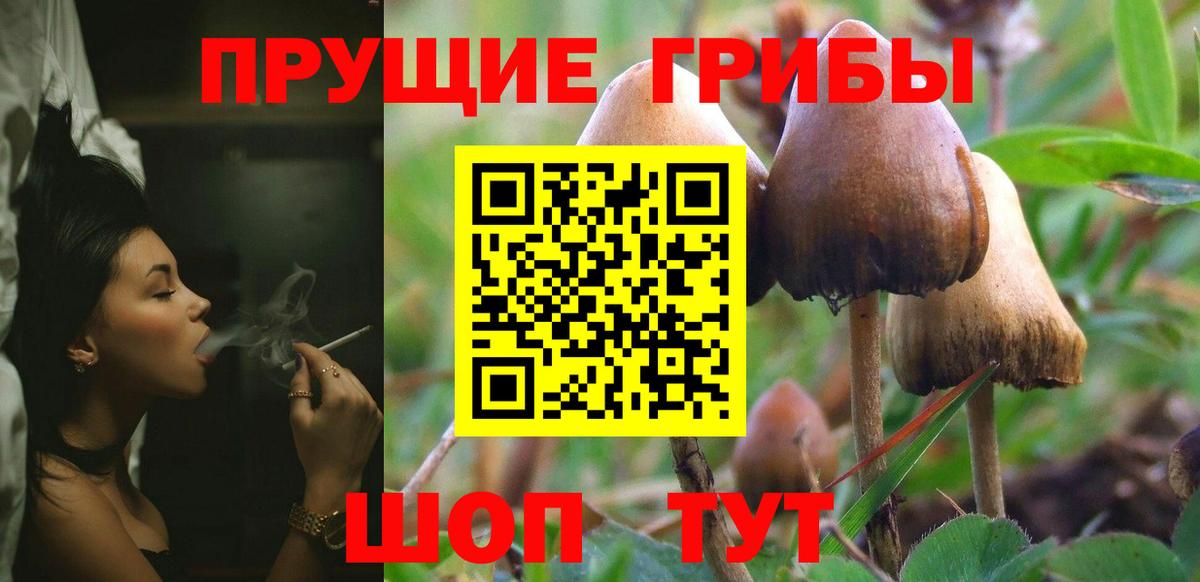 Галлюциногенные грибы прущие грибы  Вход с VPN  Острогожск 